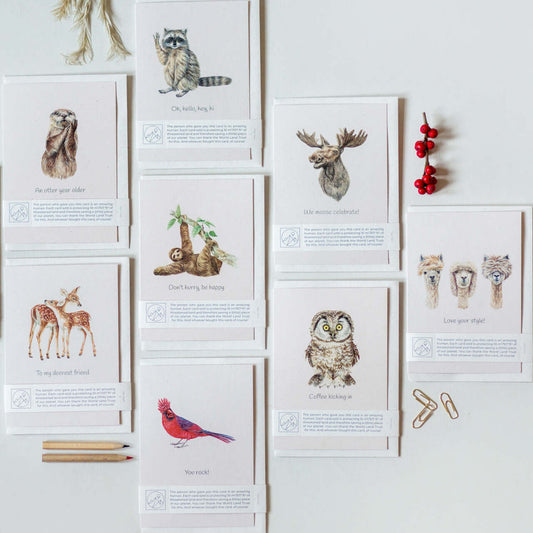 Animal Lover Charity Greeting Card collection featuring various animal illustrations, eco-friendly design, UK, Brighton and Hove