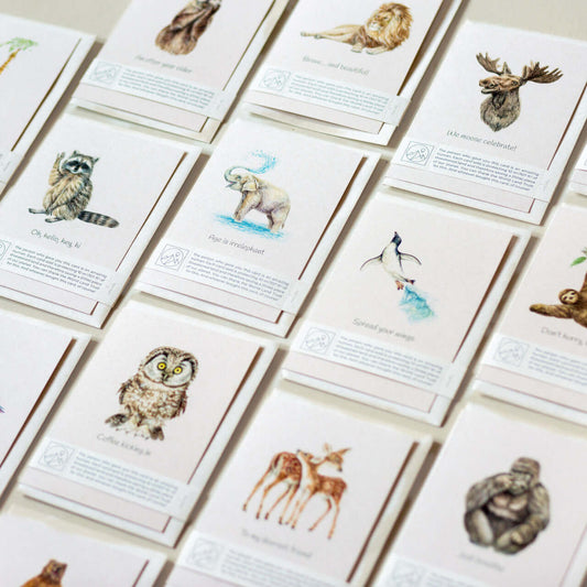 Collection of Animal Lover Charity Greeting Cards featuring various beloved animals, eco friendly online shop in UK, Brighton and Hove.