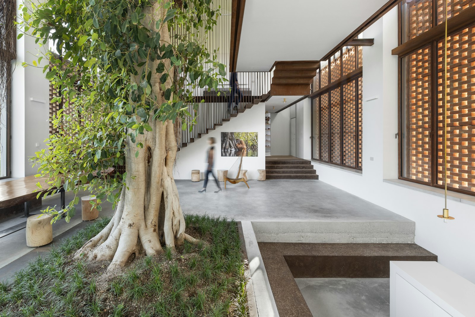 Modern house interior with a large tree in the center, surrounded by greenery.