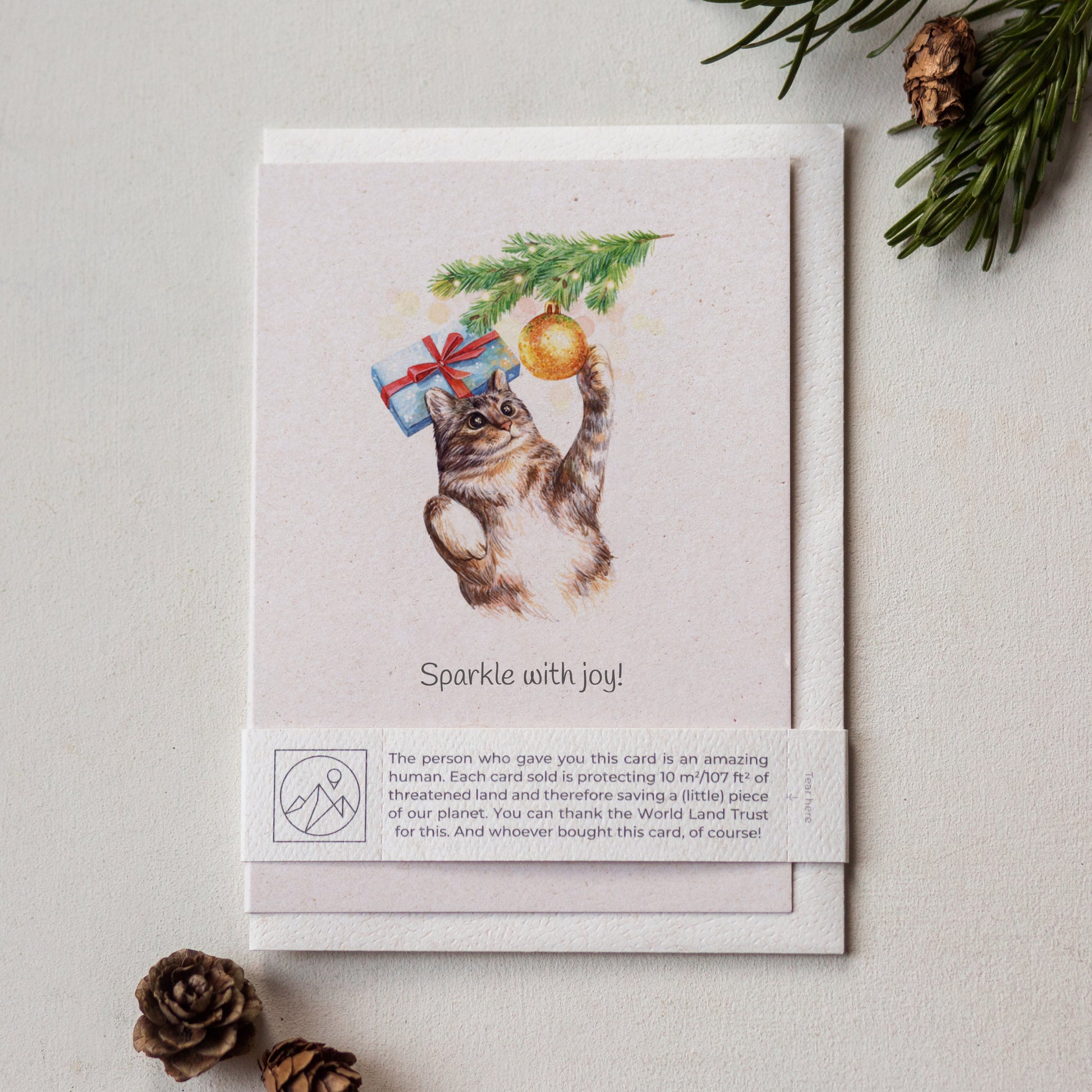 Animal Lover Charity Greeting Card featuring a raccoon with a gift and ornament, promoting eco-friendly giving.