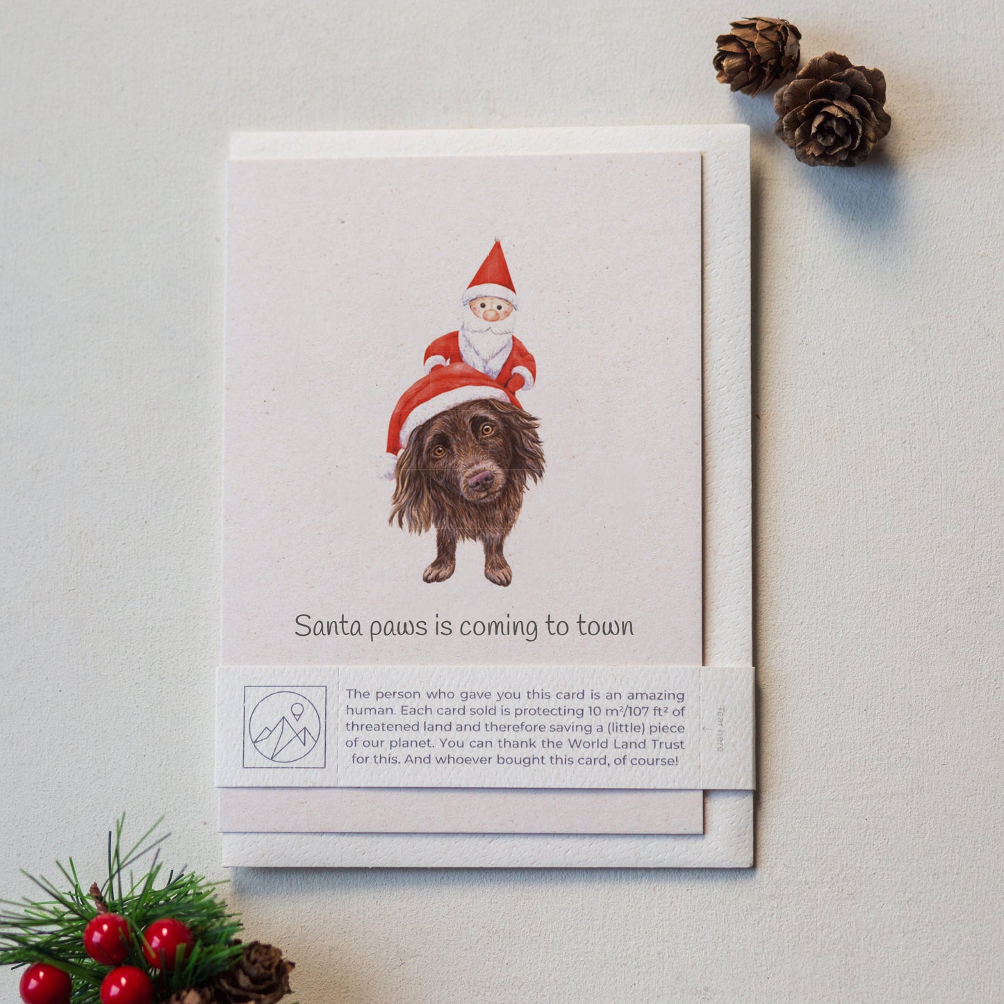 Animal Lover Charity Greeting Card featuring a dog in a Santa hat with a child in red attire, designed for eco-friendly shopping in the UK.
