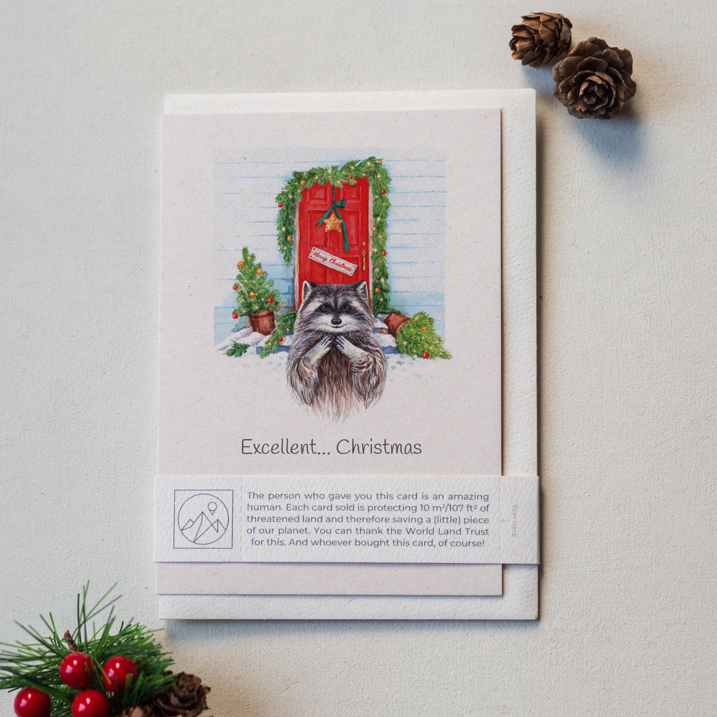Animal Lover Charity Greeting Card featuring a raccoon and festive decorations, ideal for eco-friendly gifting in Brighton and Hove.