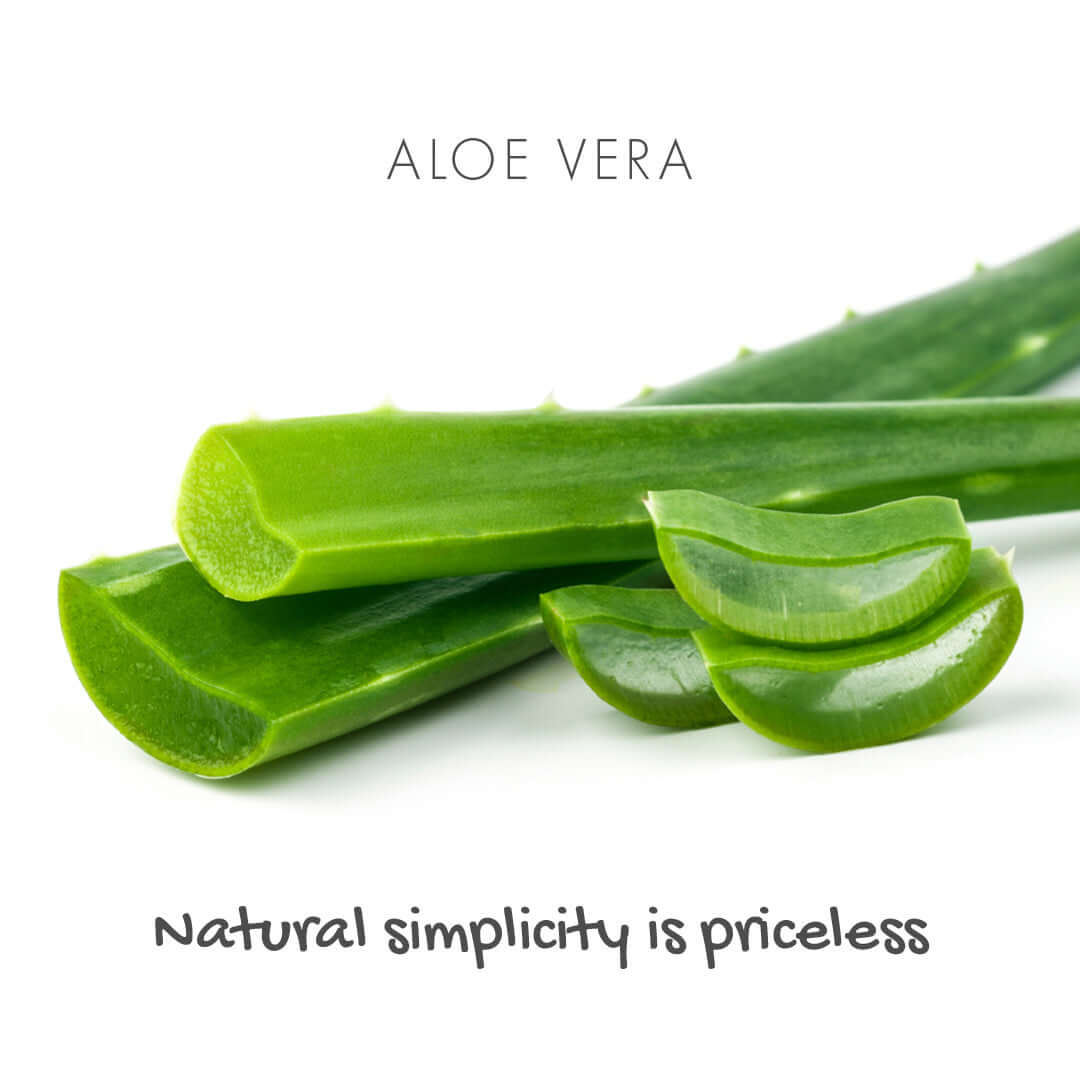 Aloe vera leaves on a white background with text 'Aloe Vera' and 'Natural simplicity is priceless'.