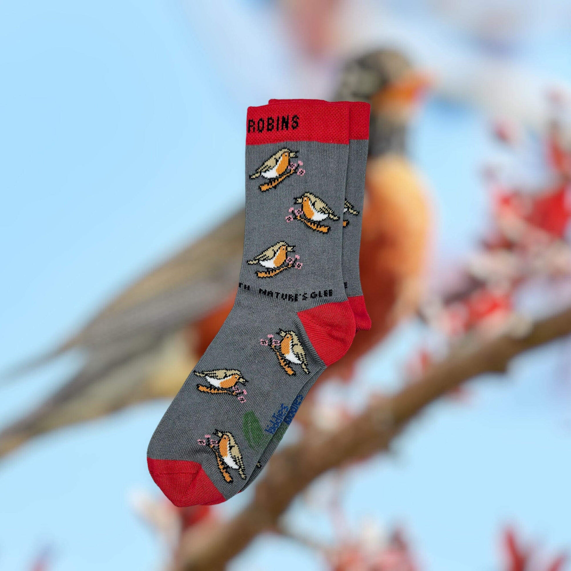 CHIRPY ROBIN ORGANIC COTTON KIDS SOCKS featuring playful robin designs on grey fabric with red accents.