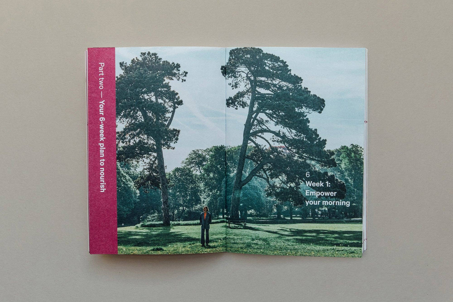 Open book with a nature scene on a gray background