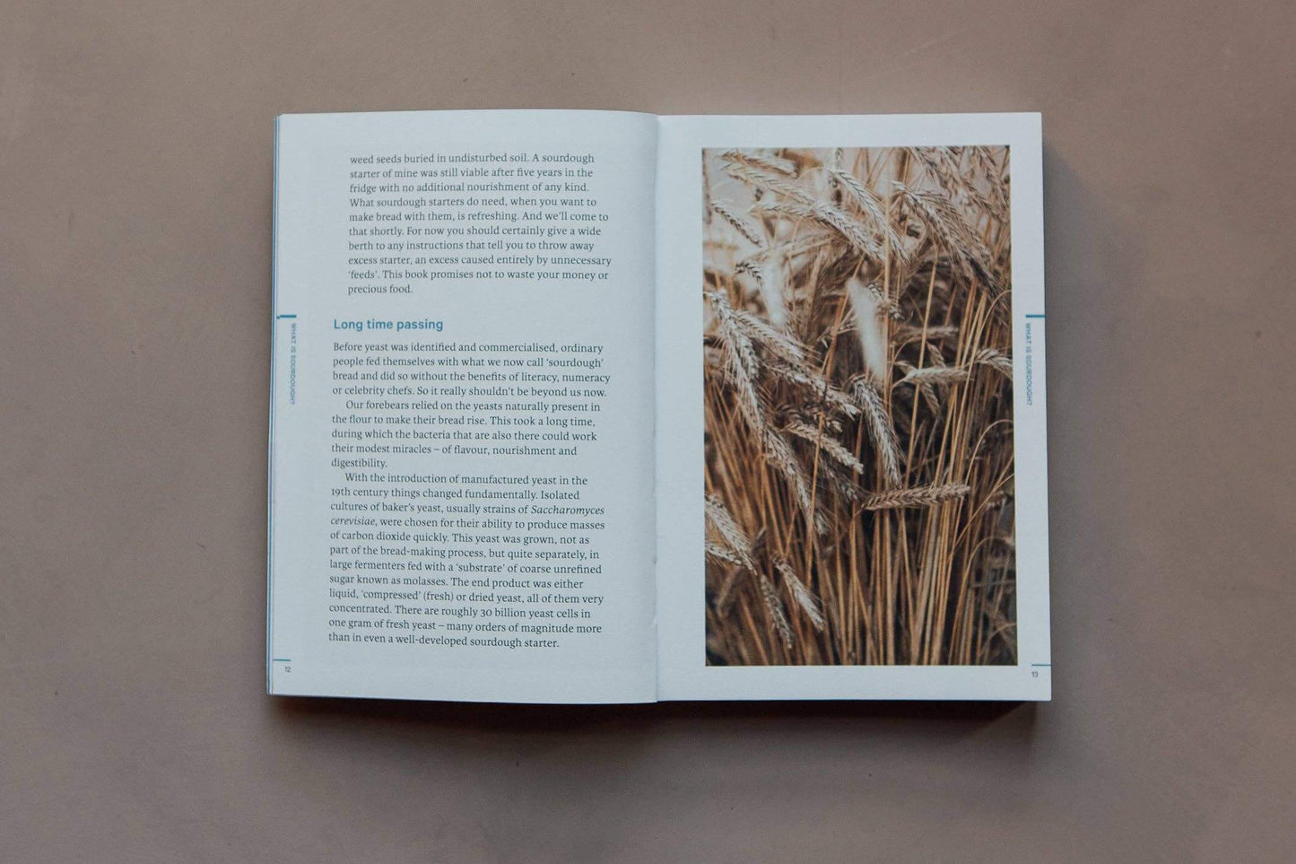 Open book with text and a photograph of wheat on a brown background