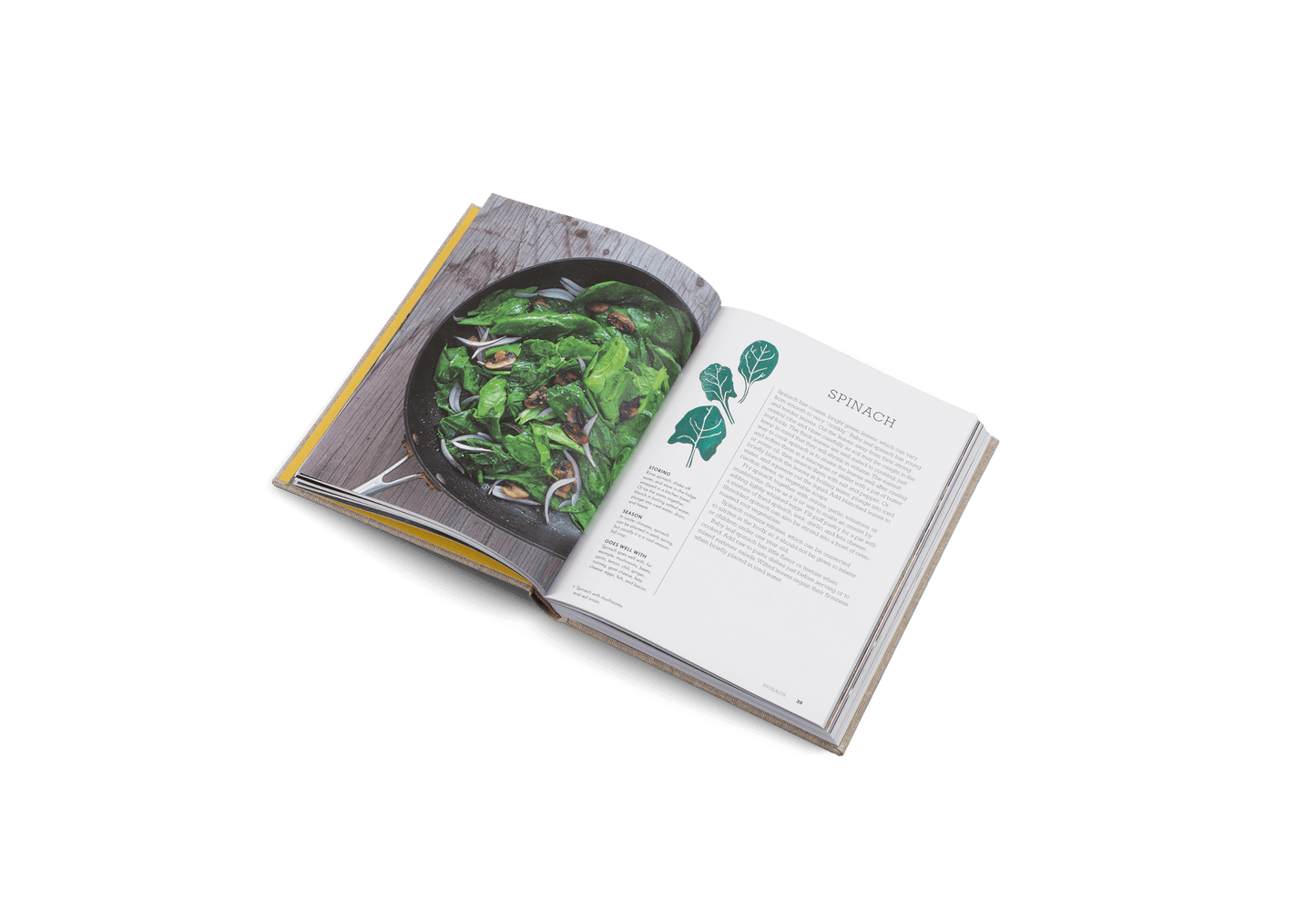 Open cookbook showing a page with a salad recipe on a white background
