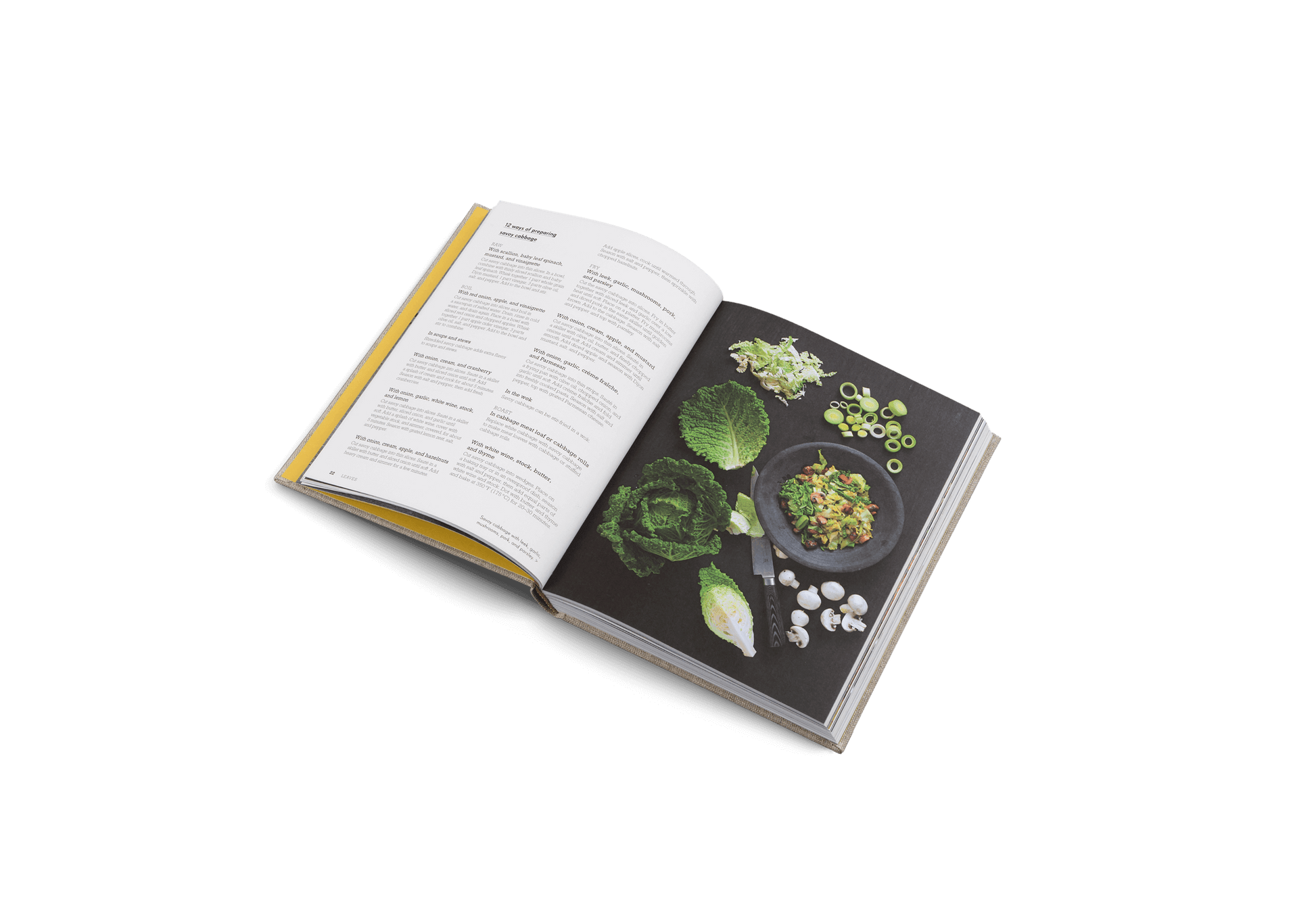 Open cookbook with a page showing a dish and another with text on a white background