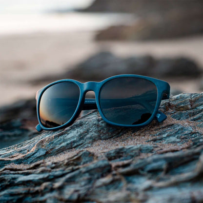 POLARISED GREY LENS SUNGLASSES BY WATERHAUL