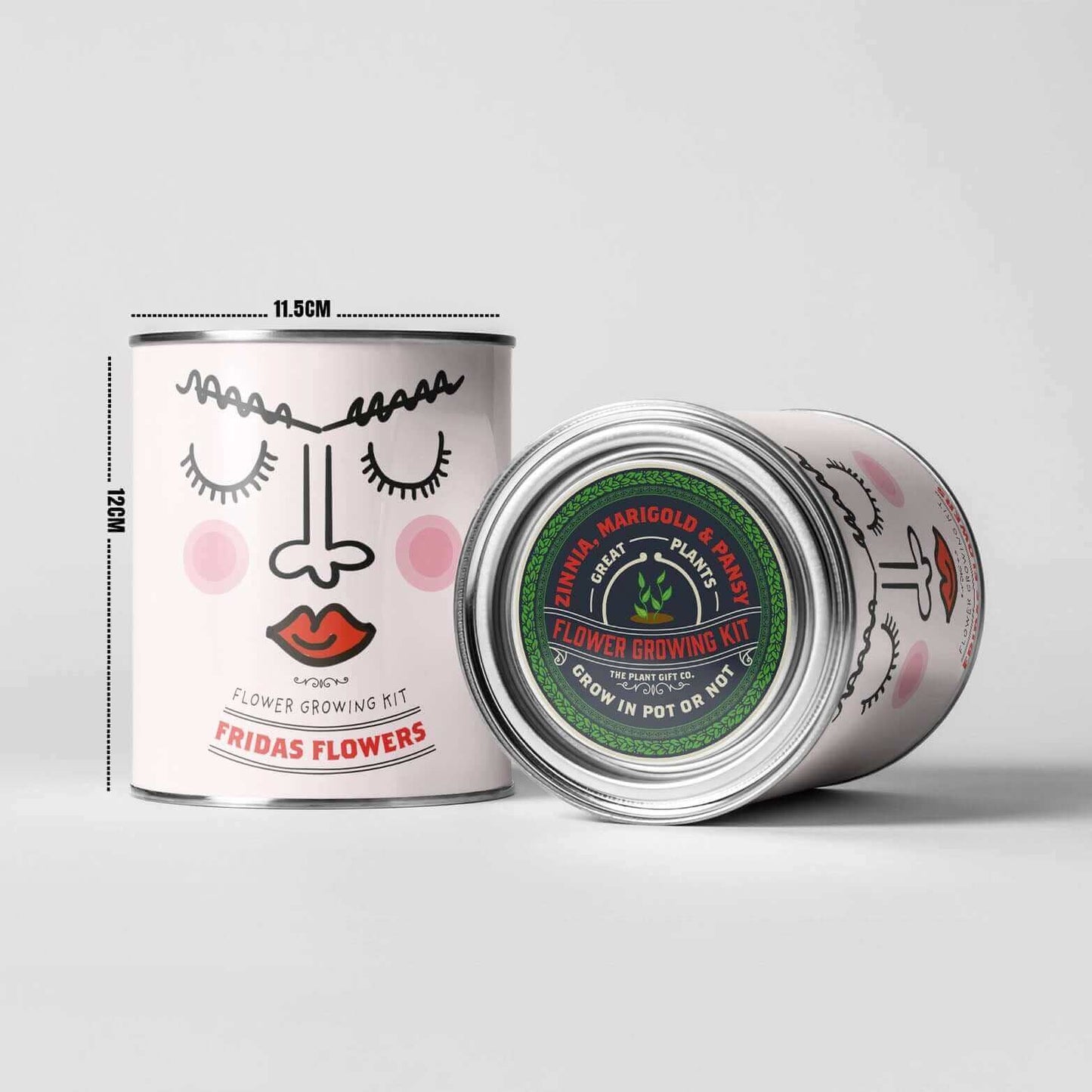 Frida's Flowers Bundle. Eco Grow Your Own Plant, Gardening Kit.