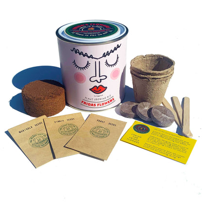 Frida's Flowers Bundle. Eco Grow Your Own Plant, Gardening Kit.