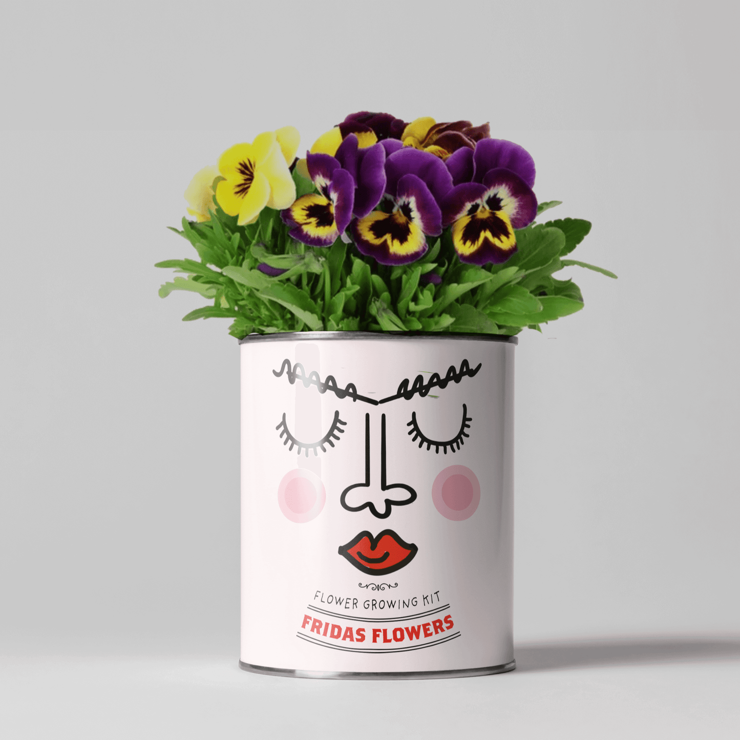 Frida’s Flowers Eco Grow Your Own Plant Gardening Kit from Eco-Friendly-Online-Shop, offering a vibrant floral selection for sustainable indoor or outdoor cultivation.