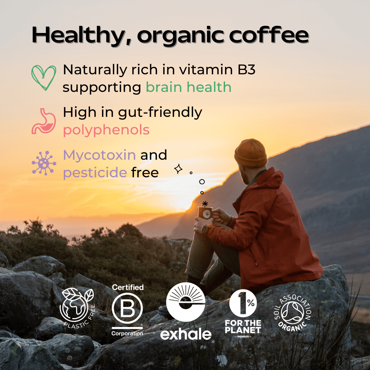 Organic House Roast Coffee benefits including vitamin B3, polyphenols, mycotoxin free, and pesticide free.
