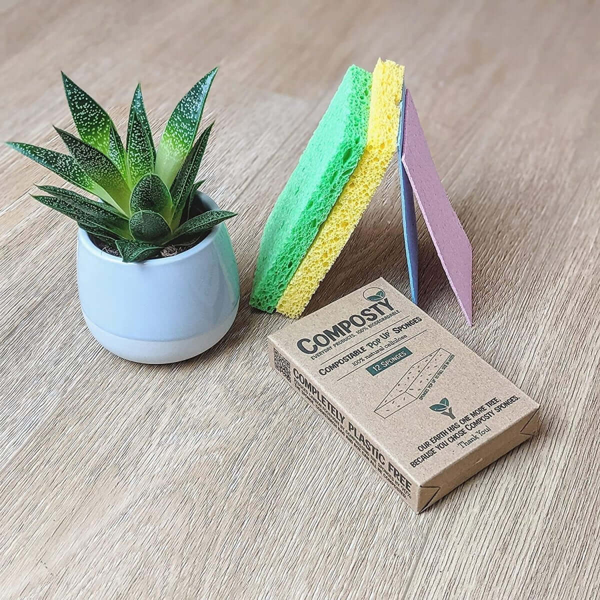 Jumbo ‘Pop-Up’ Eco Sponges – Large Size – 3 Pack displayed with a plant on a wooden surface, Eco Friendly Online Shop, UK.