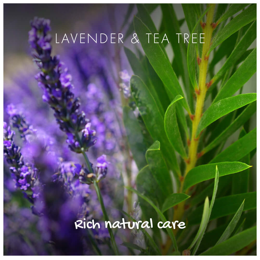 Lavender & Tea Tree essential oils for rich natural care in our lavender tea tree shampoo bar.