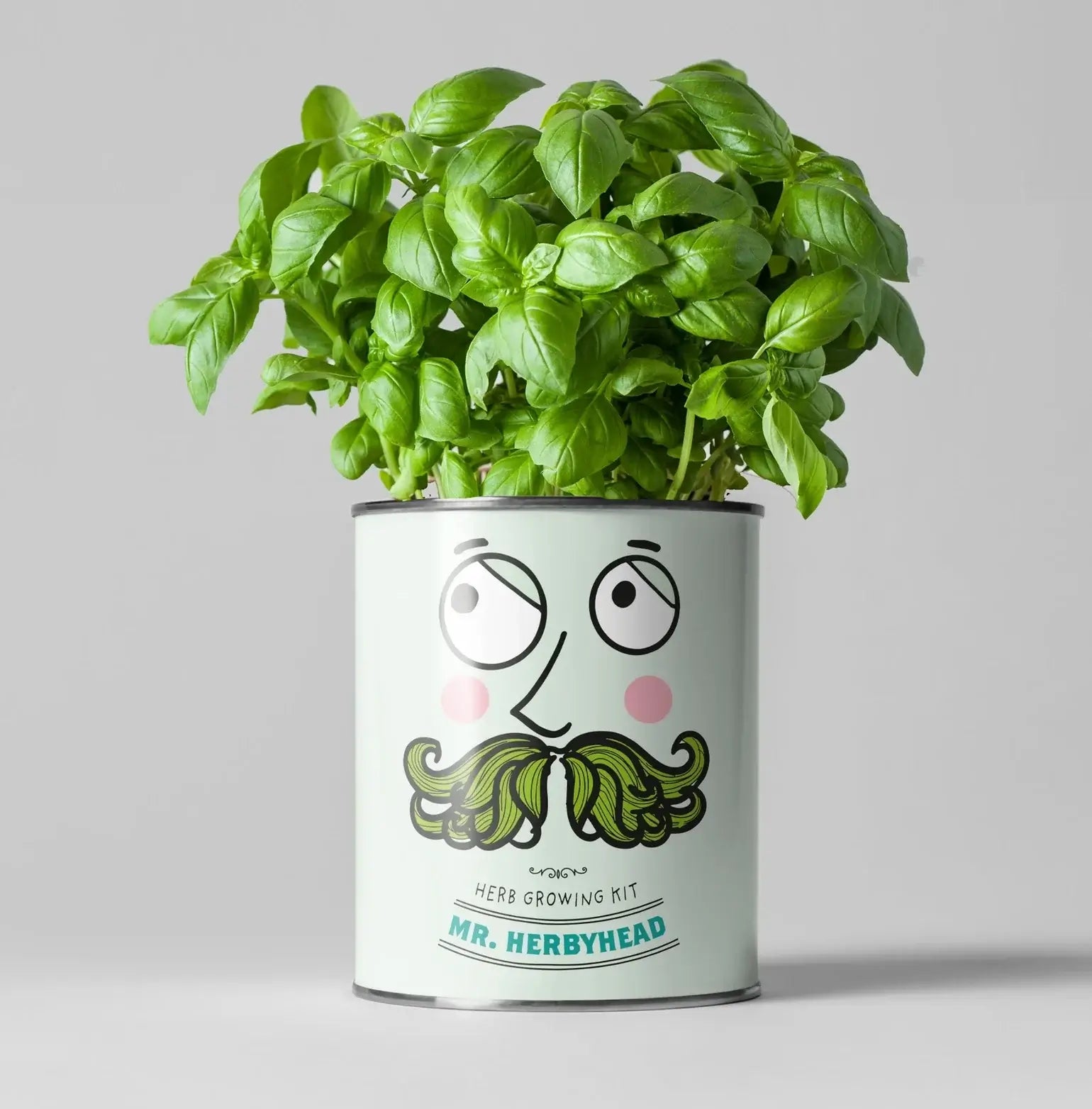 Mr Herbyhead Eco Grow Your Own Plant Kit, a sustainable gardening gift for growing fresh herbs at home Eco-Friendly-Online-Shop