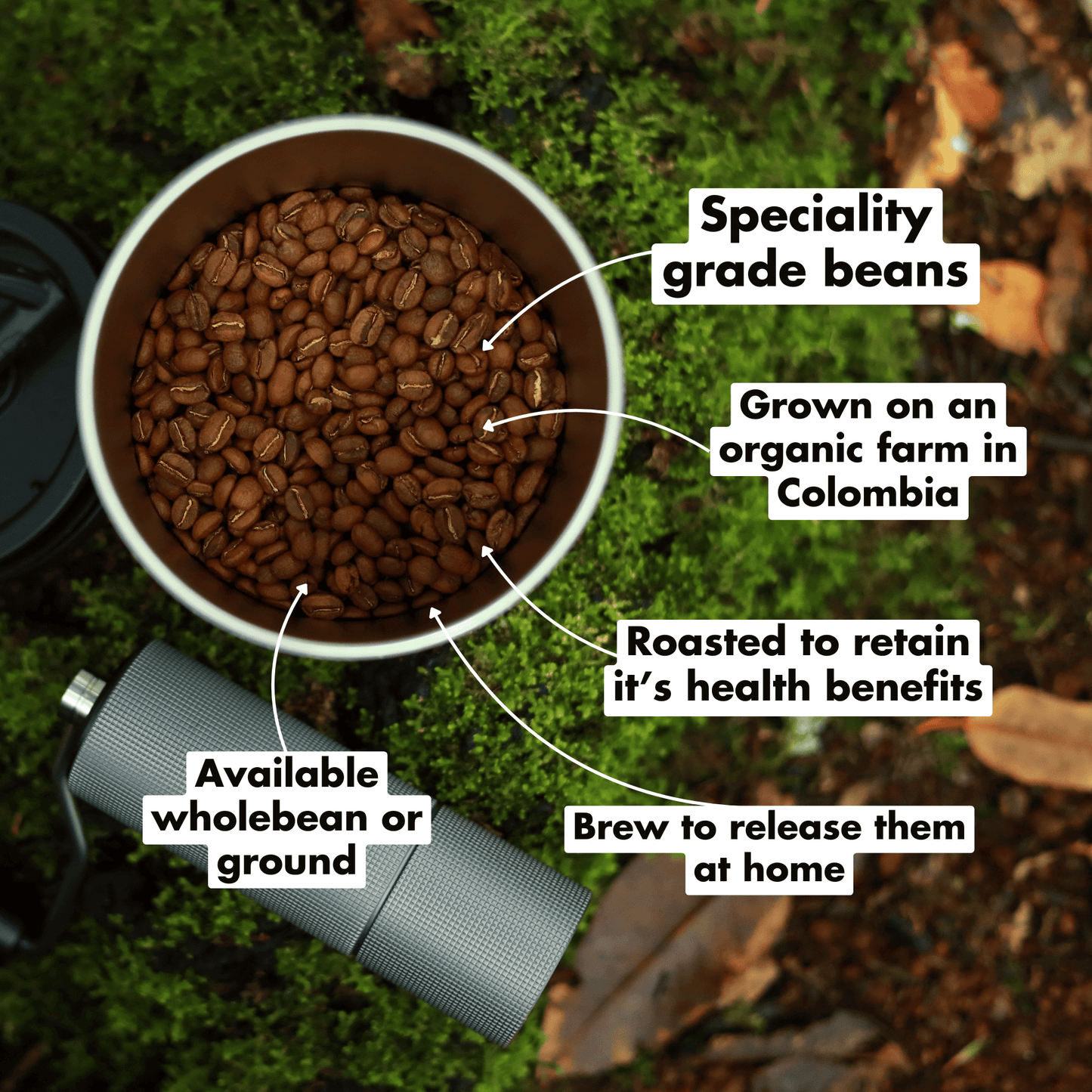 Organic Dark(ish) Roast Coffee beans shown in a cup, highlighting specialty grade and health benefits.
