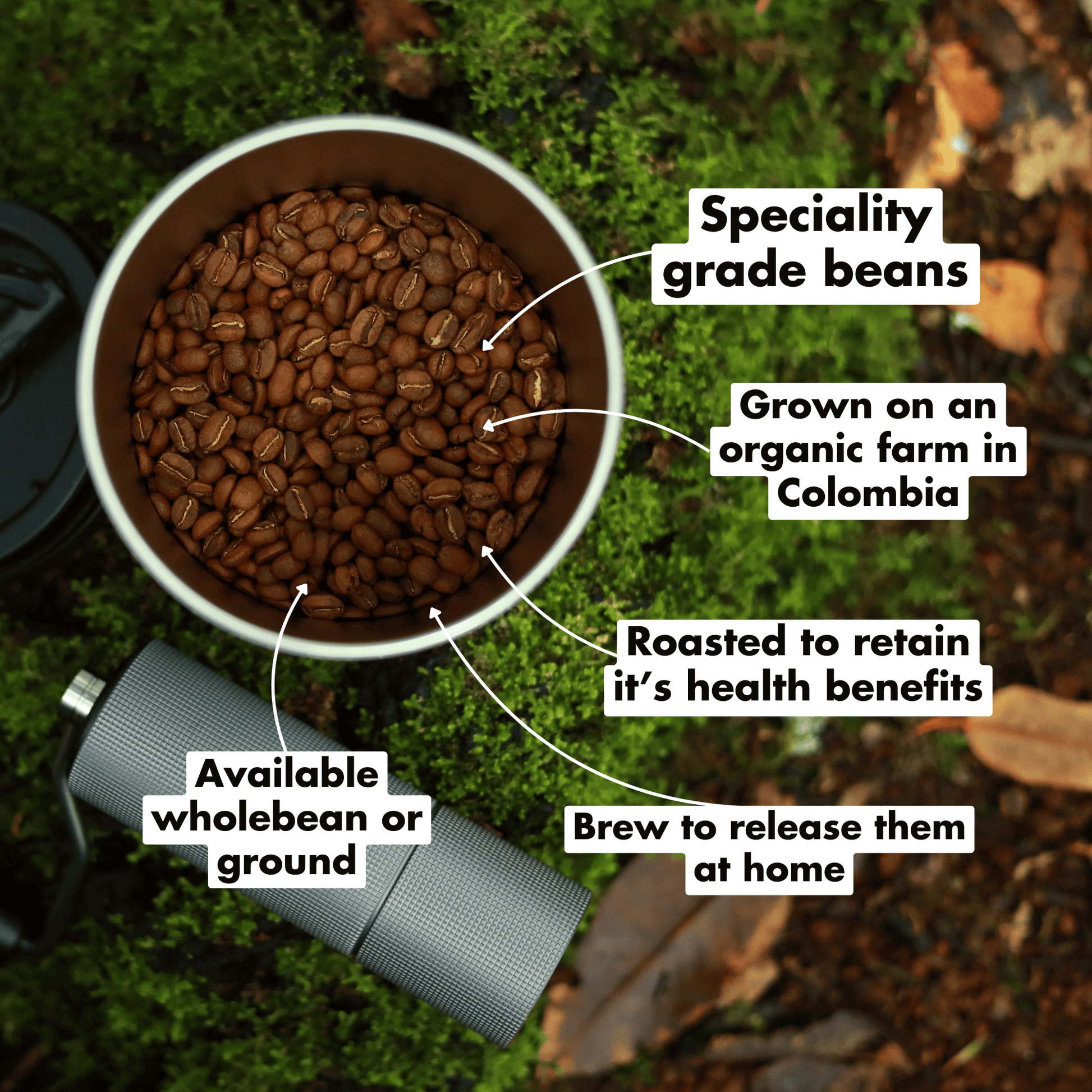 Organic Dark(ish) Roast Coffee beans shown in a cup, highlighting specialty grade and health benefits.
