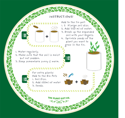 Frida's Flowers Bundle. Eco Grow Your Own Plant, Gardening Kit.