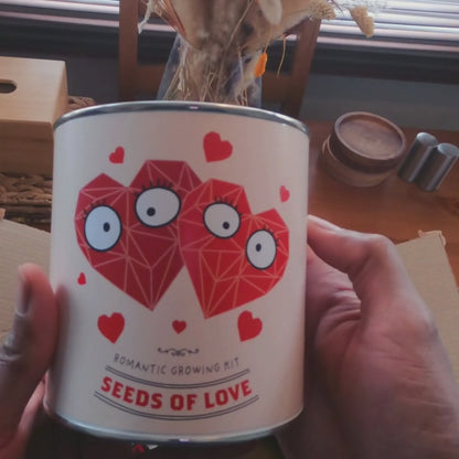 Seeds of Love Eco Grow Your Own Plant Kit from Eco-Friendly-Online-Shop, offering a heartfelt gardening experience for sustainable homes.