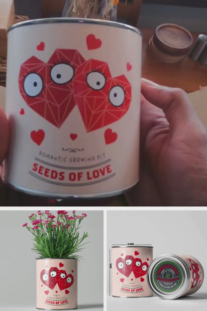 Seeds of Love Flower Growing Kit | The Plant Gift Co.