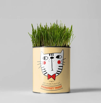 Purrfect Treat Eco Grow Your Own Plant Kit, a sustainable gardening bundle designed for cat owners to cultivate fresh treats at home.