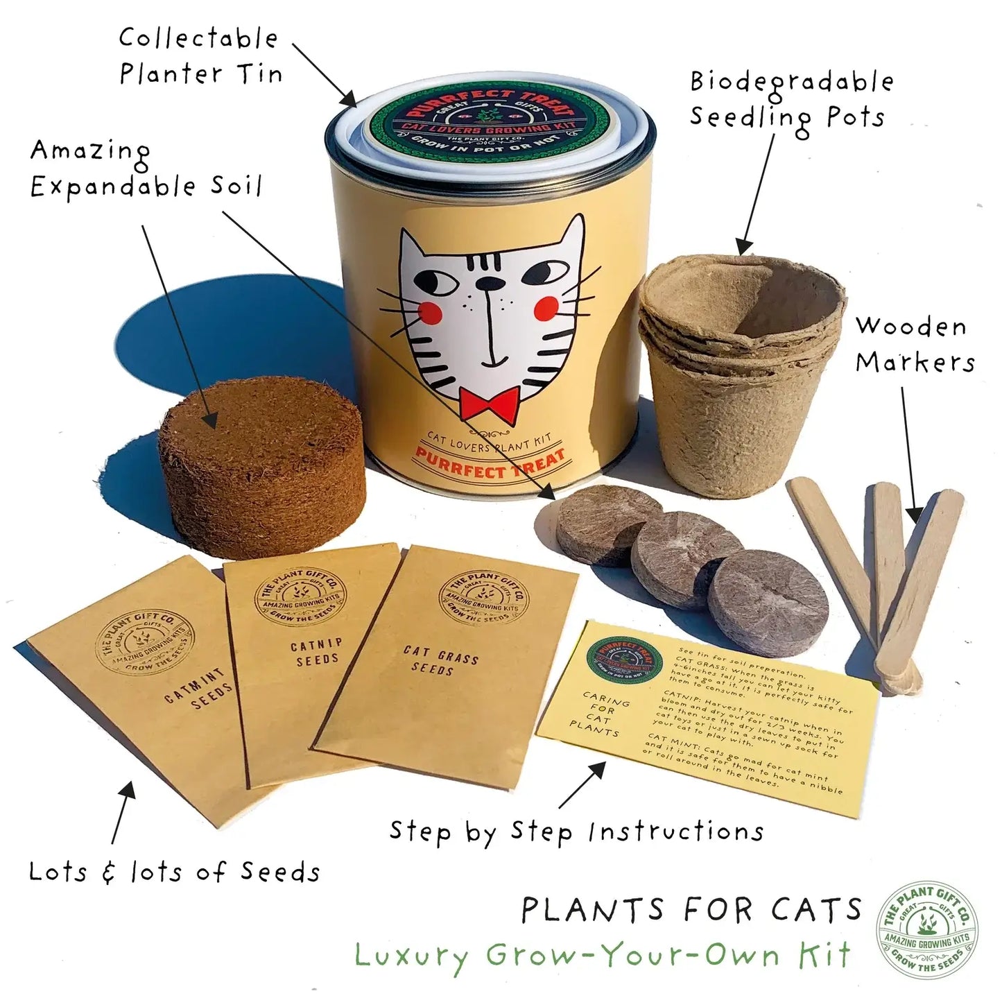 Purrfect Treat Eco Grow Your Own Plant Kit, a sustainable gardening bundle designed for cat owners to cultivate fresh treats at home.