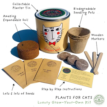 Purrfect Treat Eco Grow Your Own Plant Kit, a sustainable gardening bundle designed for cat owners to cultivate fresh treats at home.