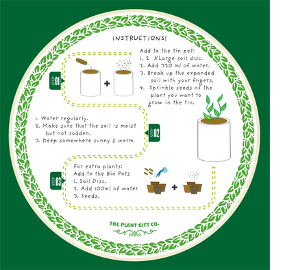 Purrfect Treat Eco Grow Your Own Plant Kit, a sustainable gardening bundle designed for cat owners to cultivate fresh treats at home.
