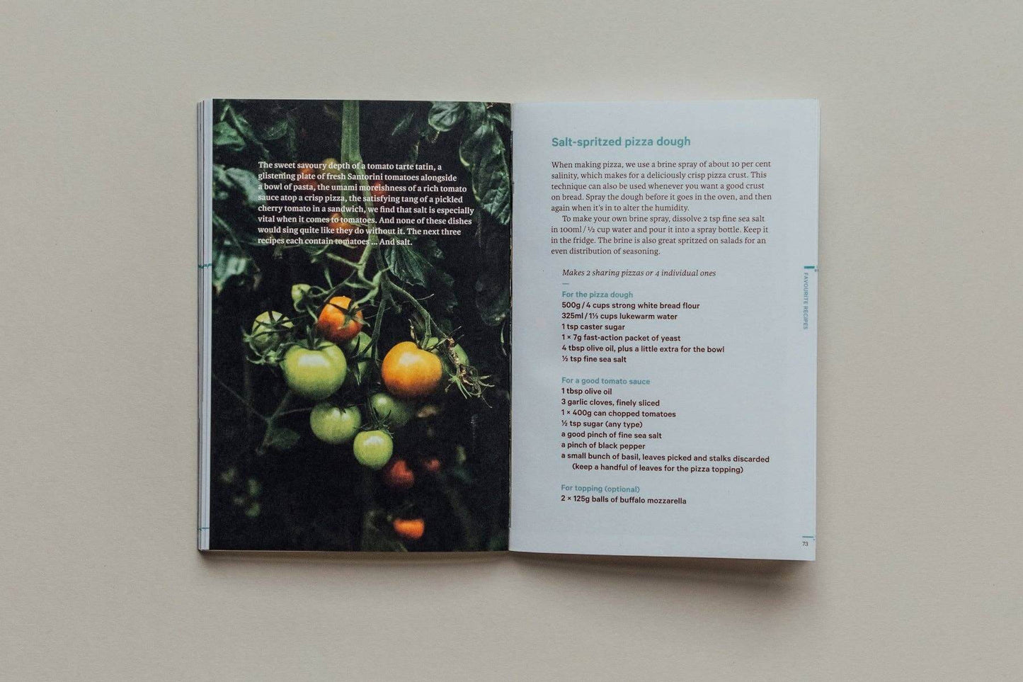 Open book with a page showing tomatoes and another with text on a beige background