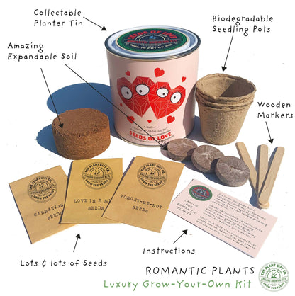 Seeds of Love Eco Grow Your Own Plant Kit from Eco-Friendly-Online-Shop, offering a heartfelt gardening experience for sustainable homes.