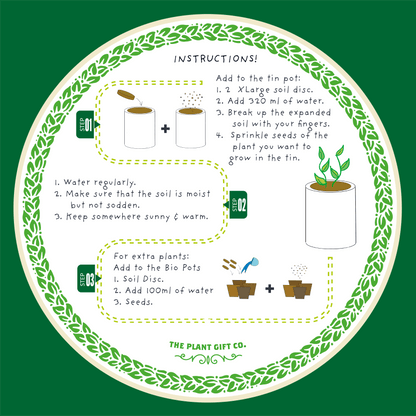 Seeds of Love Eco Grow Your Own Plant Kit from Eco-Friendly-Online-Shop, offering a heartfelt gardening experience for sustainable homes.