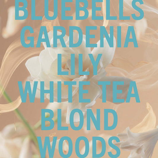 Tallulahs Camellia Fragrance 100ml showcasing bluebells, gardenia, lily, white tea and blond woods.