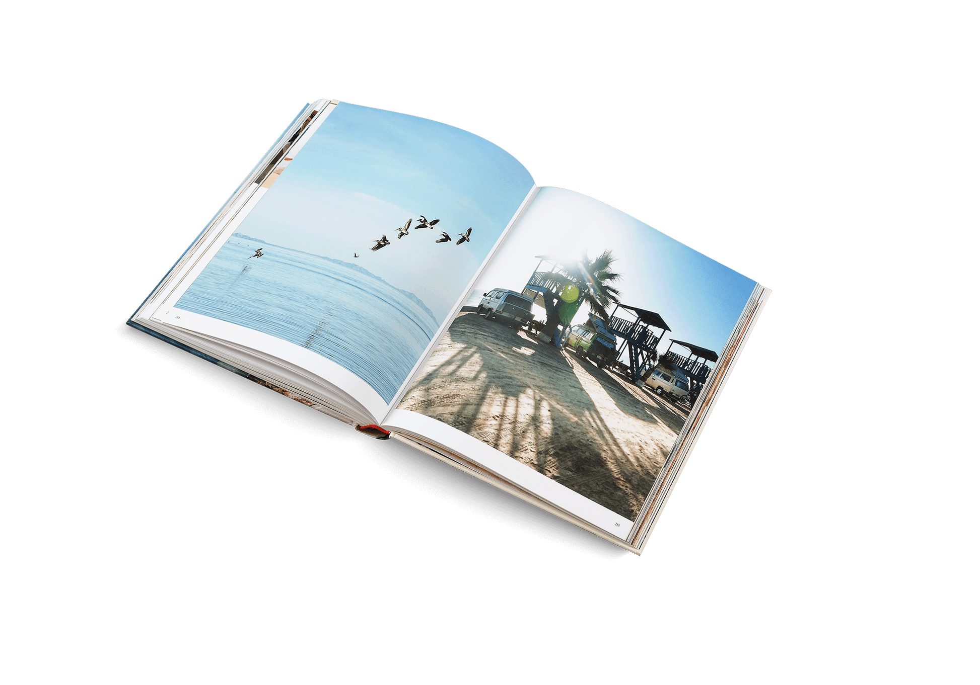 Open book showing two scenic images: one of a beach with people and birds, the other of a palm tree and truck.