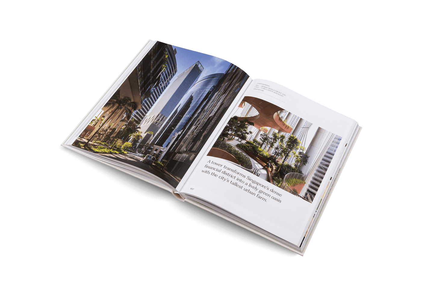 The House of Green - Explore Biophilic Architecture showcasing modern designs blending nature and architecture.