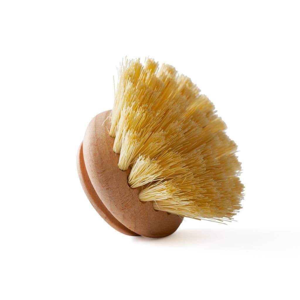 Wooden dish brush with replacement head from Eco-Friendly-Online-Shop, featuring natural bristles for a plastic-free, sustainable dishwashing routine.