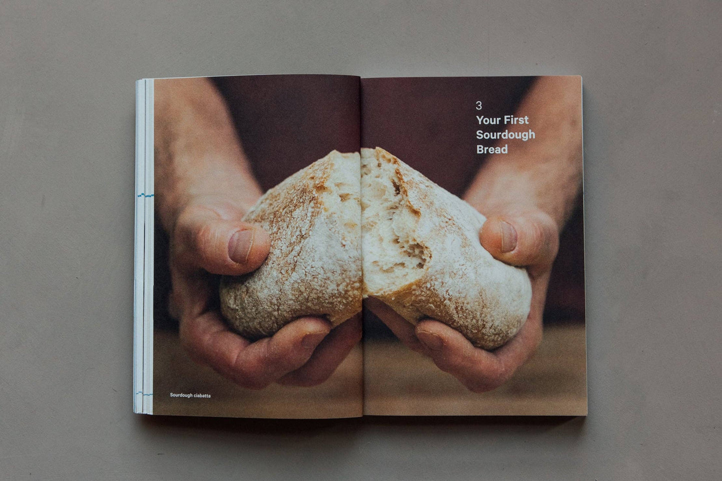 Open book showing a person holding two pieces of bread against a gray background